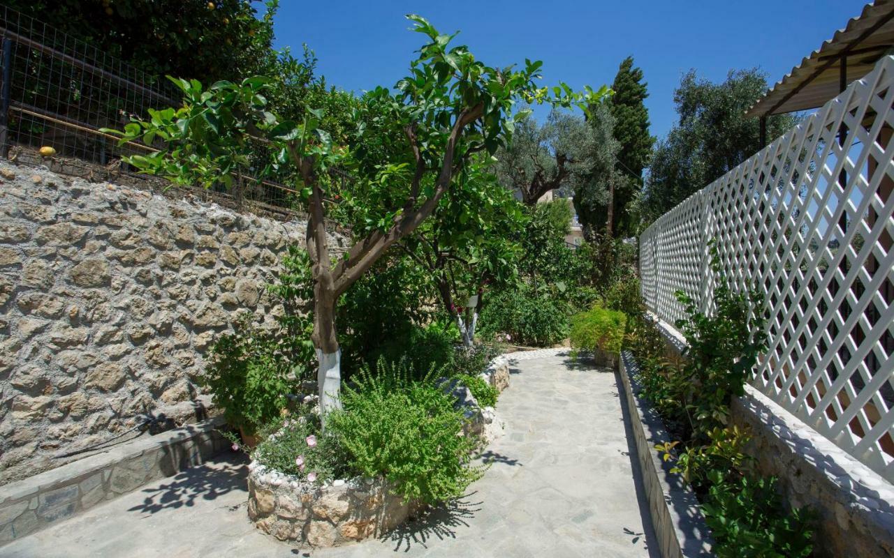 Thalassa Studios Paleokastritsa Exteriör bild